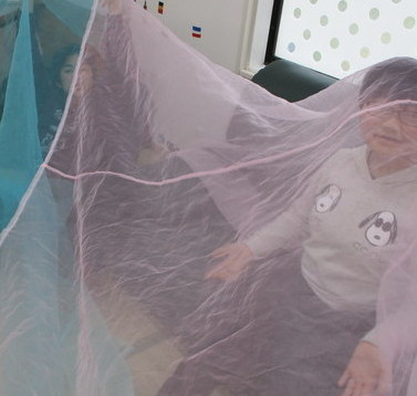 IMG_1179_コピー_コピー_コピー