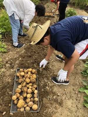 S__8609806_コピー