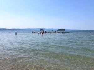 2019-08-01 10.16.56_コピー