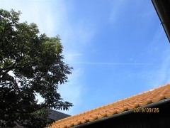 IMG_3441 (2)_コピー