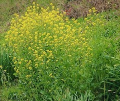 202004長いベンチ_200406_0012_コピー