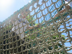 IMG_8948_コピー_コピー