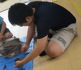 IMG_9574_コピー_コピー