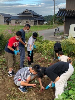 いもほり_コピー