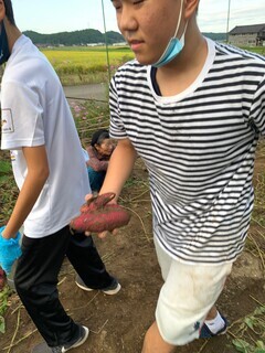 いもほり_コピー