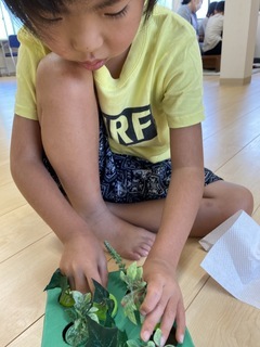 S__25788432_コピー