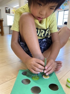 S__25788435_コピー