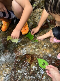 LINE_ALBUM_7-27 不動滝🌱_220802_0_コピー