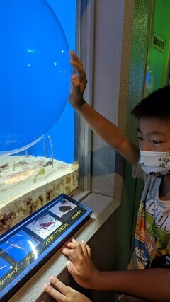 LINE_ALBUM_8-30 水族館_220905_1_コピー